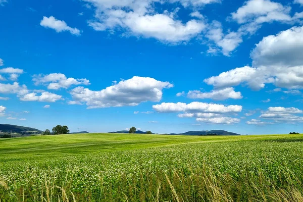 Красиві Хмари Блакитному Небі Горах Сільському Зеленому Полі — стокове фото