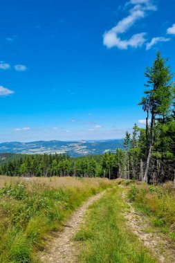 Güneşli bir yaz gününde güzel yeşil dağlar. Yürüyüş