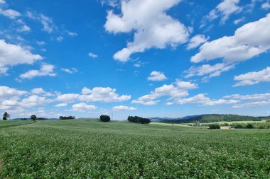 Güneşli bir yaz gününde kırsal alan çok güzeldir. Beyaz bulutlu mavi gökyüzü