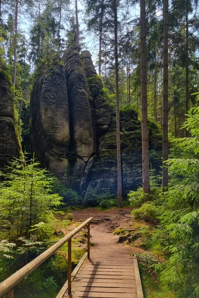 Uma Pequena Trilha Caminhadas Interessante Floresta Nas Terras Altas — Fotografia de Stock
