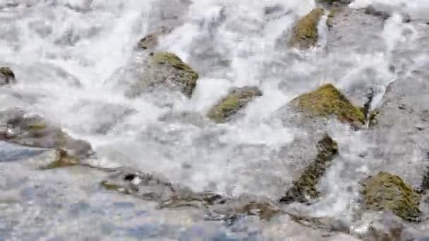 Холодная Чистая Горная Вода Течет Через Скалы Зеленый Мох — стоковое видео