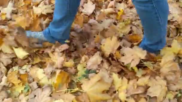 少女は公園を歩き 黄色の葉が落ちた 落ちた葉の上に足が動く — ストック動画