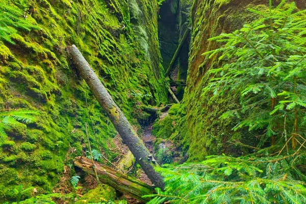 Vista Das Falésias Musgo Verde Nas Montanhas Fundo Verde Natureza — Fotografia de Stock