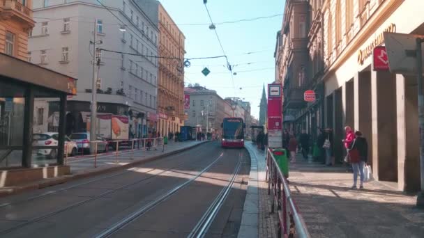 2022年10月22日 捷克布拉格 一辆现代有轨电车到达车站 这个城市受欢迎的生态交通是有轨电车 — 图库视频影像