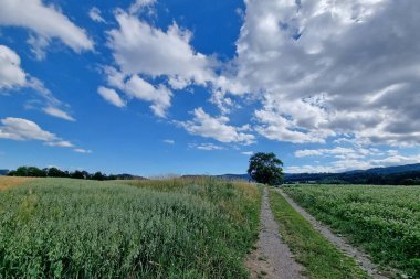 Kırsal kesimde güzel, parlak gökyüzü, köy manzarası