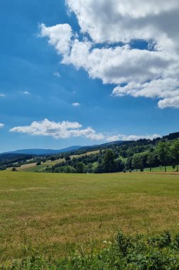 Dağlarda güneşli bir yaz günü. Yeşil çayır ve gökyüzü manzarası