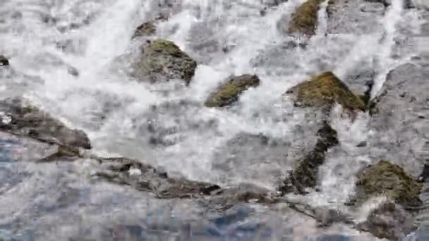 Kaltes Und Klares Wasser Fließt Über Die Steine Wasser Fließt — Stockvideo