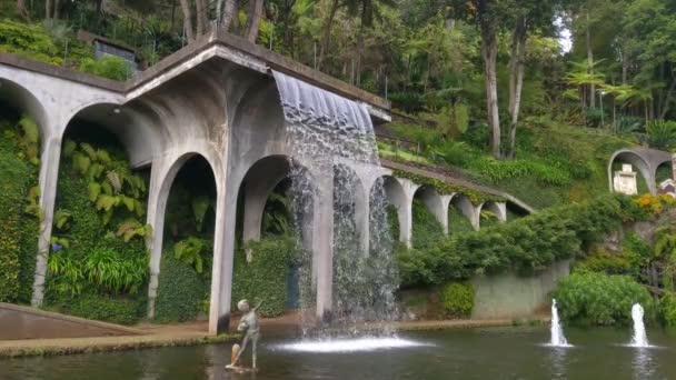 Kunstmatige Waterval Een Groen Groot Park Planten Van Verschillende Types — Stockvideo