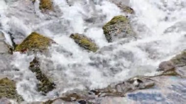 Kayaların ve yosunların arasından hızlı bir soğuk su akıntısı akıyor.