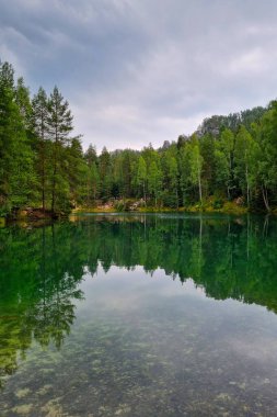 Güzel dağ gölü ve yeşil orman. Doğanın arka planı, açık hava eğlencesi.