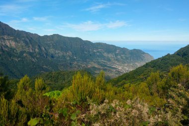 Güneşli bir günde okyanusa bakan güzel dağ vadisi