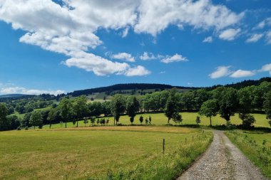 Güneşli bir yaz gününde dağların ve yeşil çayırların güzel manzarası.