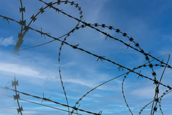 Close-up on a barbed wire fence against a blue sky. Barbed wire. Metal fence. Fencing between countries on the border. illegal immigration