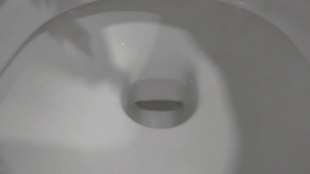 Gros Plan Sur Rinçage Eau Dans Cuvette Des Toilettes Hygiène — Video