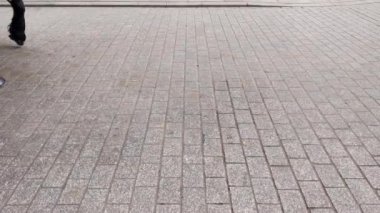 Krakow, Polonya, 5 Kasım 2022: At arabasının tekerlekleri ve bacaklarının manzarası