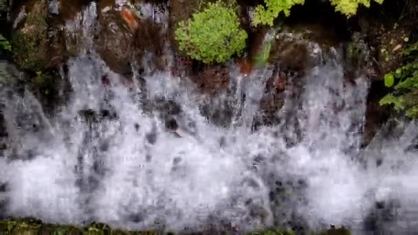 Vista Córrego Montanha Que Flui Sobre Pedra Água Limpa Transparente — Vídeo de Stock