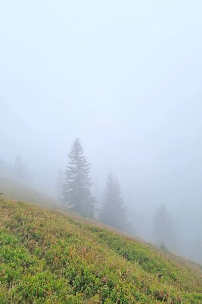 Foggy morning in the mountains in autumn. Hiking. Rest at nature