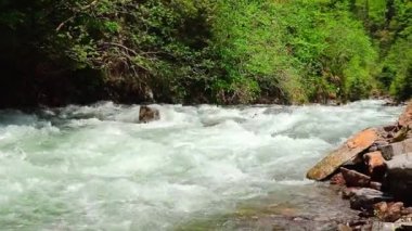 Soğuk temiz suyla dağdaki küçük dağ nehri