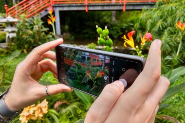 Kızın elleri çiçeklerin telefonuyla fotoğraf çekiyor.