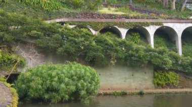 Portekiz 'in Madeira adasındaki güzel yeşil tropikal bahçe