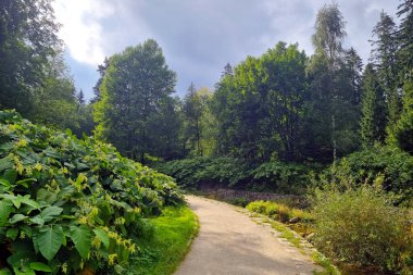 Temiz havada yürümek için yeşil parkın manzarası