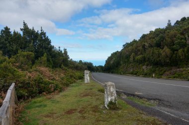 A picturesque road on a green island. Warm climate