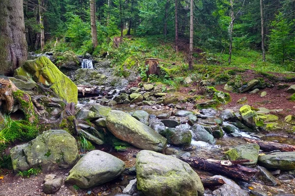 A small stream flows through the green stones in the forest
