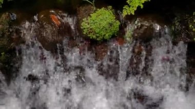 Close-up of the flow of cold clear water in the mountains