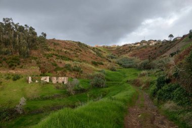 Bright green slopes of madeira Island. Warm climate
