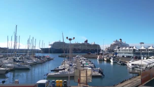 Madeira Portugal November 2022 Pier Boats City Funchal Large Liner — Αρχείο Βίντεο
