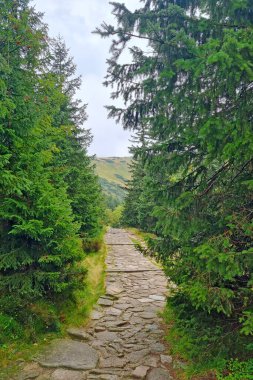 A pedestrian road in the mountains. Walks in the fresh air. Active lifestyle