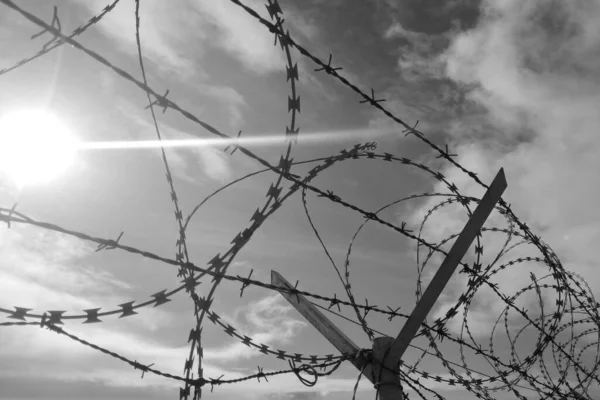 Barbed wire against the sky. The concept of freedom and restriction