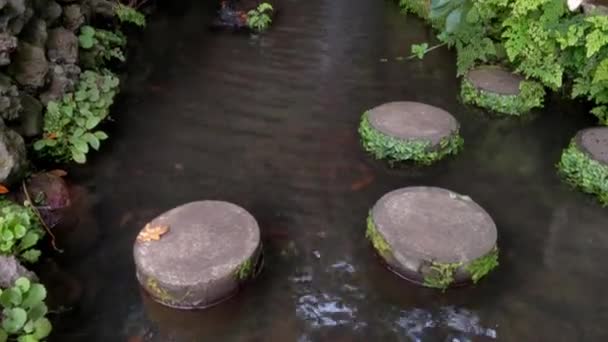 Water Flows Small Waterfall Park — Stockvideo