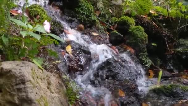 流れ落ちる水の流れの終わり — ストック動画