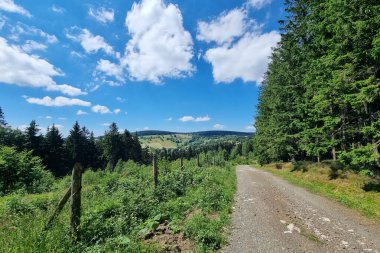 Beautiful view of the blue sky in the forest