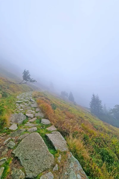 Foggy autumn morning in the mountains. Hiking, hiking