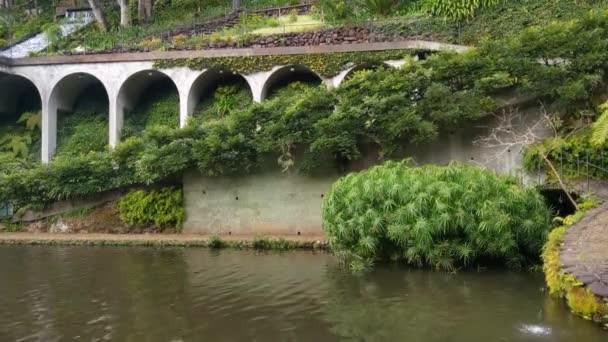 Bright Green Tropical Garden Water Flows Pond — 图库视频影像