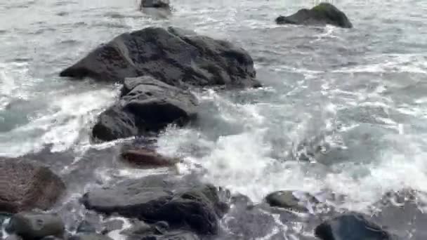 Denizin Okyanusun Dalgaları Kayaların Üzerinde Süzülür Volkanik Kayalar Karanlık Kumsallar — Stok video