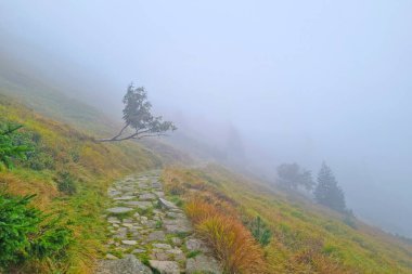 Thick fog in the mountains at altitude. Hiking