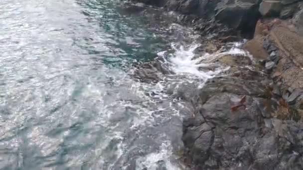 Salpicaduras Agua Las Olas Rompiendo Contra Las Rocas — Vídeo de stock