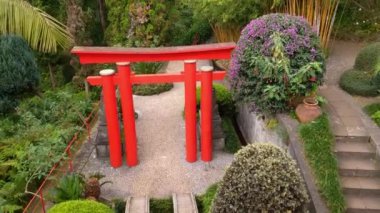 View of a beautiful green tropical garden