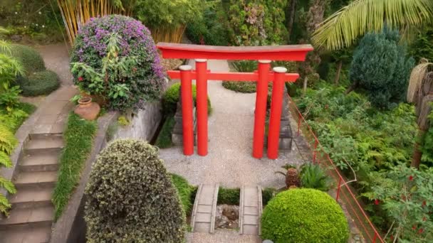 Τροπικό Καταπράσινο Κήπο Στο Πάρκο Funchal Μαδέρα — Αρχείο Βίντεο