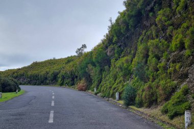 Yeşil bitki örtüsü boyunca adanın güzel yolu