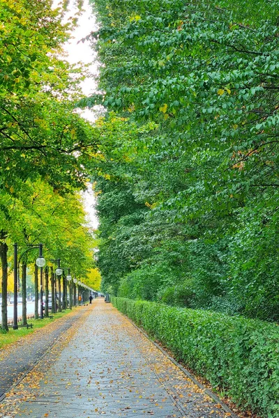 Krásná Pěšina Podél Zelených Stromů Silnice — Stock fotografie