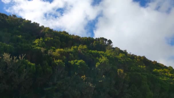 Blick Auf Die Grünen Hänge Des Berges Und Den Blauen — Stockvideo