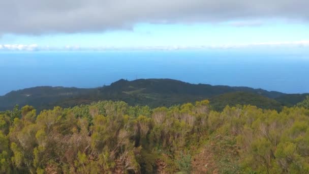 Vista Desde Una Altura Las Verdes Laderas Isla Madeira — Vídeo de stock
