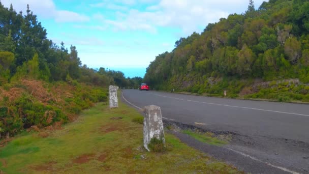 在岛上风景如画的道路上 坐汽车去观光 — 图库视频影像