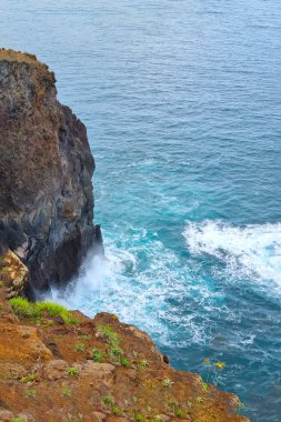 Kayalık bir sahil ve okyanus dalgaları kayalara çarpıyor.