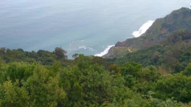 Madeira Adası 'nın yeşil sahil manzarası