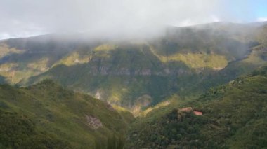 Yeşil bir dağın tepesindeki sisin manzarası.
